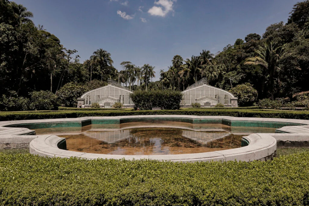 Imagem de capa - Quer um passeio diferente? Jardim Botânico de SP terá entrada gratuita